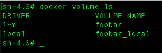 lvm_volume_list